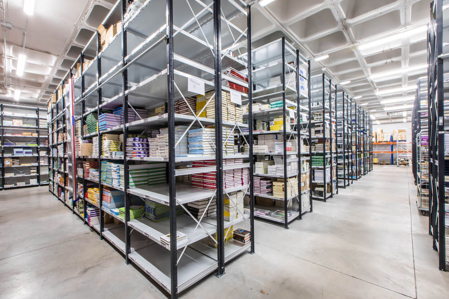 Carga ligera industrial estantería con libros | POLYPAL STORAGE SYSTEMS